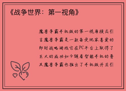 《战争世界：第一视角》